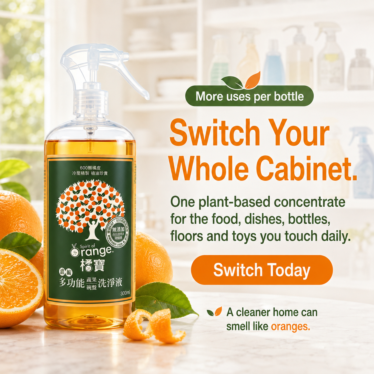 橘寶 今天就換 switch today